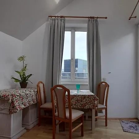 Donaublick Apartamento Linz